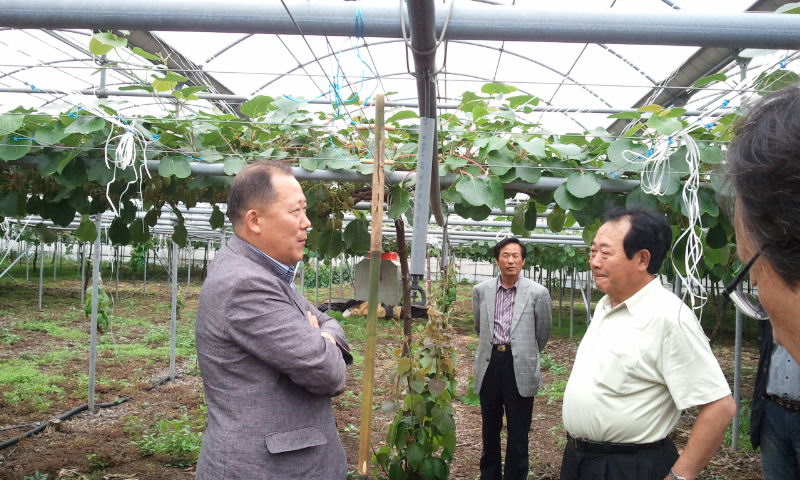 강소농 육성을 위한 키위재배기술컨설팅 현장